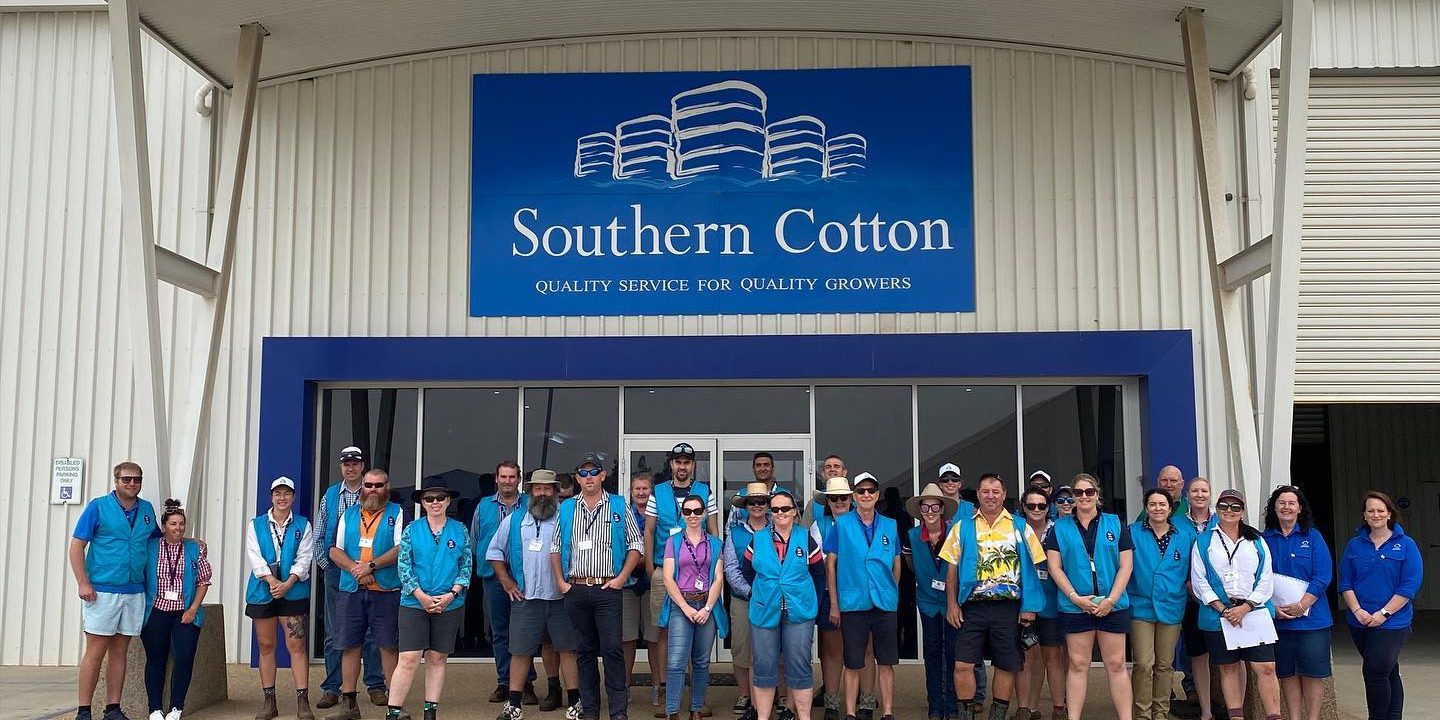 Southern Cotton Photo