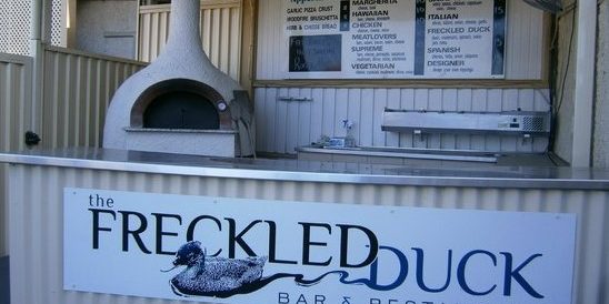 Freckled Duck Photo