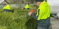 Mow Plan Mow Plan